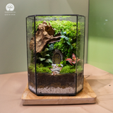 Terrarium