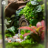 Terrarium