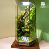 Terrarium
