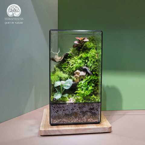 Terrarium The Hidden Moss Dwelling - Bể Hộp Chữ Nhật Đứng - Quà Tặng Cao Cấp