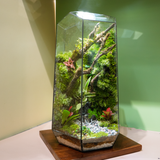 Terrarium