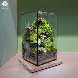 Terrarium hộp chữ nhật quà tặng cao cấp