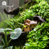 Terrarium hộp chữ nhật quà tặng cao cấp