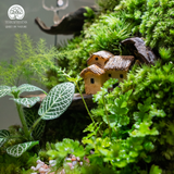 Terrarium hộp chữ nhật quà tặng cao cấp