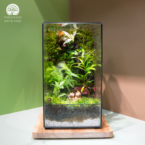 Terrarium Moss & Us - Bể Hộp Chữ Nhật Đứng - Quà Tặng Cao Cấp