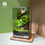 Terrarium Capypara Quà Tặng Cao Cấp