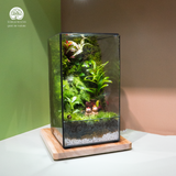 Terrarium Capypara Quà Tặng Cao Cấp
