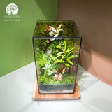 Terrarium Capypara Quà Tặng Cao Cấp