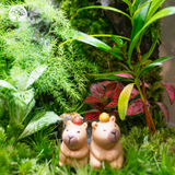 Terrarium Capypara Quà Tặng Cao Cấp