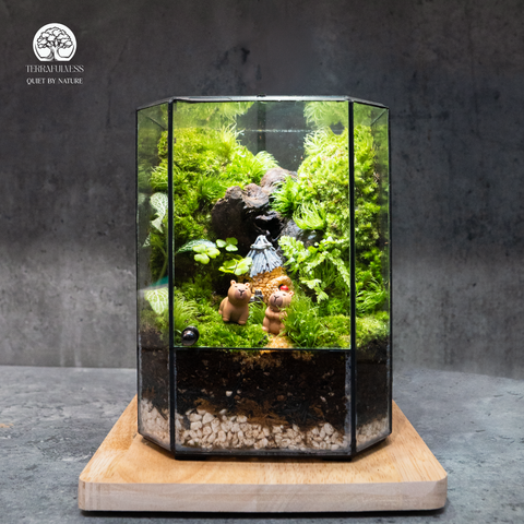 Terrarium Capybara Tiny Woodland - Bể Đa Giác - Trang Trí Bàn Làm Việc