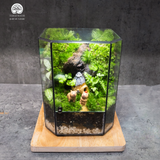 Terrarium