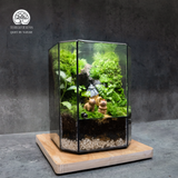 Terrarium
