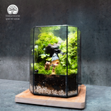 Terrarium