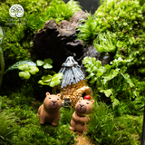Terrarium