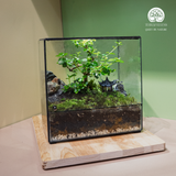 Terrarium