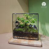 Terrarium