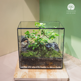 Terrarium