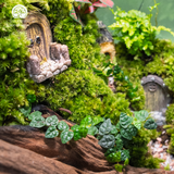Terrarium The Forgotten Forest Gate Quà Tặng Cao Cấp