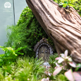 Terrarium The Forgotten Forest Gate Quà Tặng Cao Cấp
