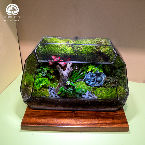 terrarium-ban-lam-viec-lanh-dao-sang-trong-terrafulness