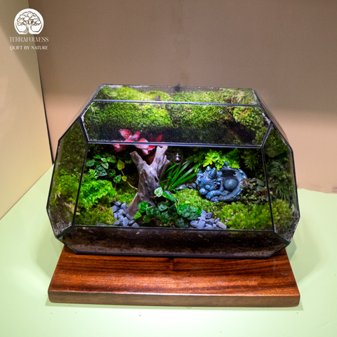 Terrarium Silent Dragon Valley - Bể Đa Giác Ngang - Quà Tặng Sinh Nhật
