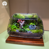 Terrarium