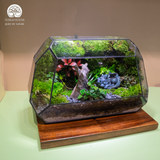 Terrarium