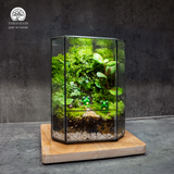 Terrarium