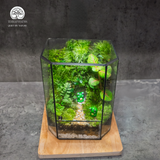 Terrarium