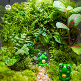 Terrarium