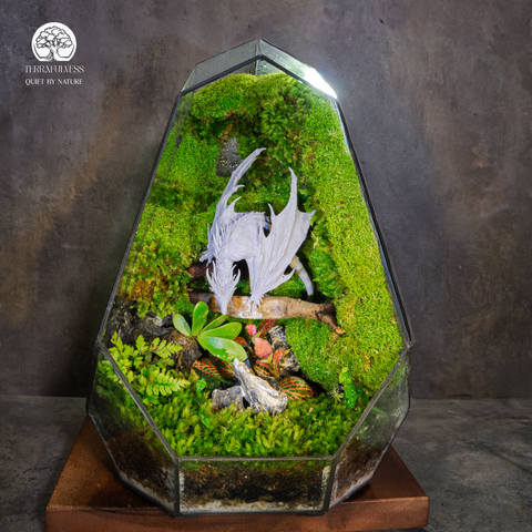 Terrarium Tọa Long | Bể Đa Giác - Decor Góc Làm Việc Uy Nghi Tĩnh Tại