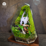 Terrarium Tọa Long | Bể Đa Giác - Decor Góc Làm Việc Uy Nghi Tĩnh Tại