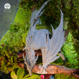 Terrarium Tọa Long | Bể Đa Giác - Decor Góc Làm Việc Uy Nghi Tĩnh Tại