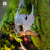 Terrarium Tọa Long | Bể Đa Giác - Decor Góc Làm Việc Uy Nghi Tĩnh Tại