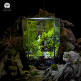 Terrarium