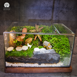 Terrarium