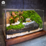 Terrarium