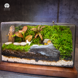 Terrarium