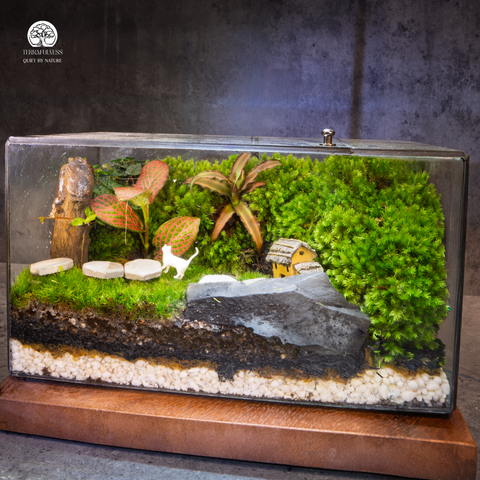 Terrarium Little House in Mossland - Bể Chữ Nhật Ngang - Decor Góc Làm Việc