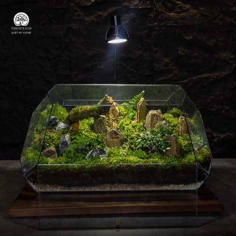 Terrarium Moss Valley - Thung Lũng Rêu Xanh Giữa Lòng Phố