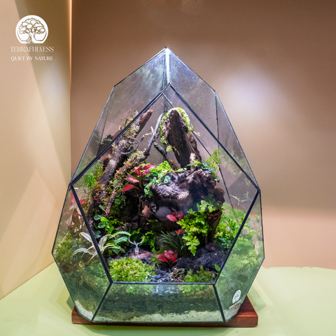 Terrarium Emerald Monolith - Bể Đa Giác Kim Cương - Quà Tặng Cao Cấp
