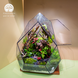 Terrarium
