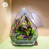 Terrarium