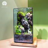 Terrarium Stone Valley Trang Trí Kệ Tủ