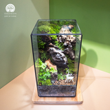 Terrarium Stone Valley Trang Trí Kệ Tủ