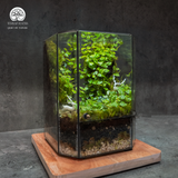 Terrarium