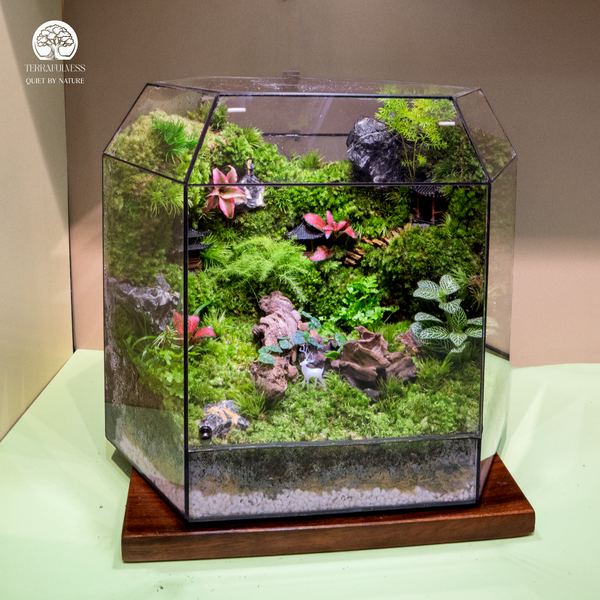 terrarium-ban-lam-viec-lanh-dao-sang-trong-terrafulness