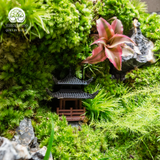 Terrarium Verdant Ancient Hamlet - Bể Đa Giác Ngang - Quà Tặng Đối Tác