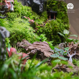 Terrarium Verdant Ancient Hamlet - Bể Đa Giác Ngang - Quà Tặng Đối Tác