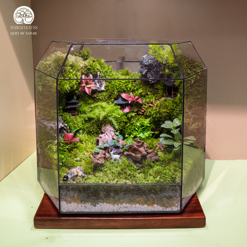 Terrarium Verdant Ancient Hamlet - Bể Đa Giác Ngang - Quà Tặng Đối Tác